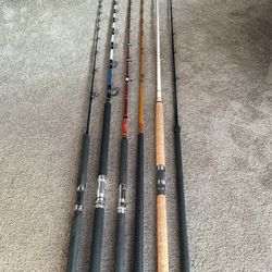 SALTWATER FISHING RODS