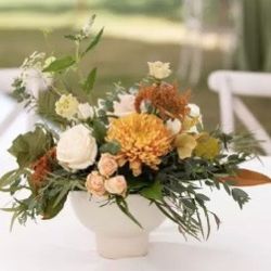 White coup vase - 12 Qty