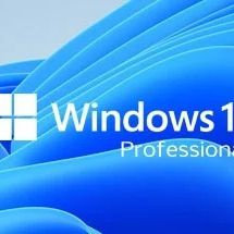 Windows 11 Professional 64BIT DVD Sealed OEM