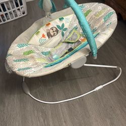 Baby Bouncer 