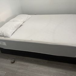 Queen Mattress And Base 