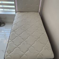 Twin Bed. Lights Up. Cama Personal 