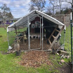 Chicken Coop