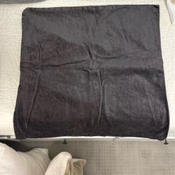 West Elm Velvet Euro Shams (Set of 2, covers only)