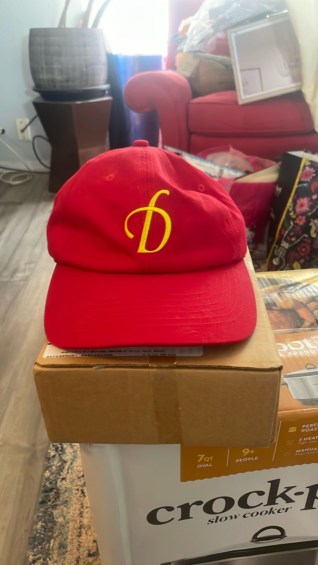 Like New Dion’s Hat $5