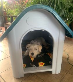 Dog house