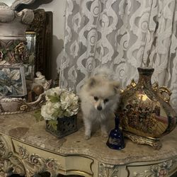 Antique Chinese Vase