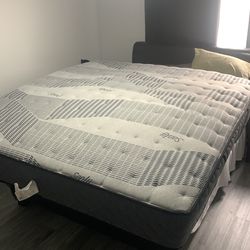 Sealy king size mattress