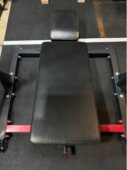 Syedee vertical leg press.