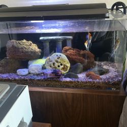 Fish Tank With Fish And Filter Tank