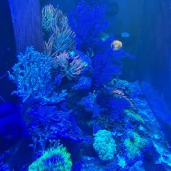 Waterbox Marine 110x