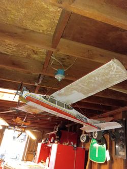 Gas RC plane