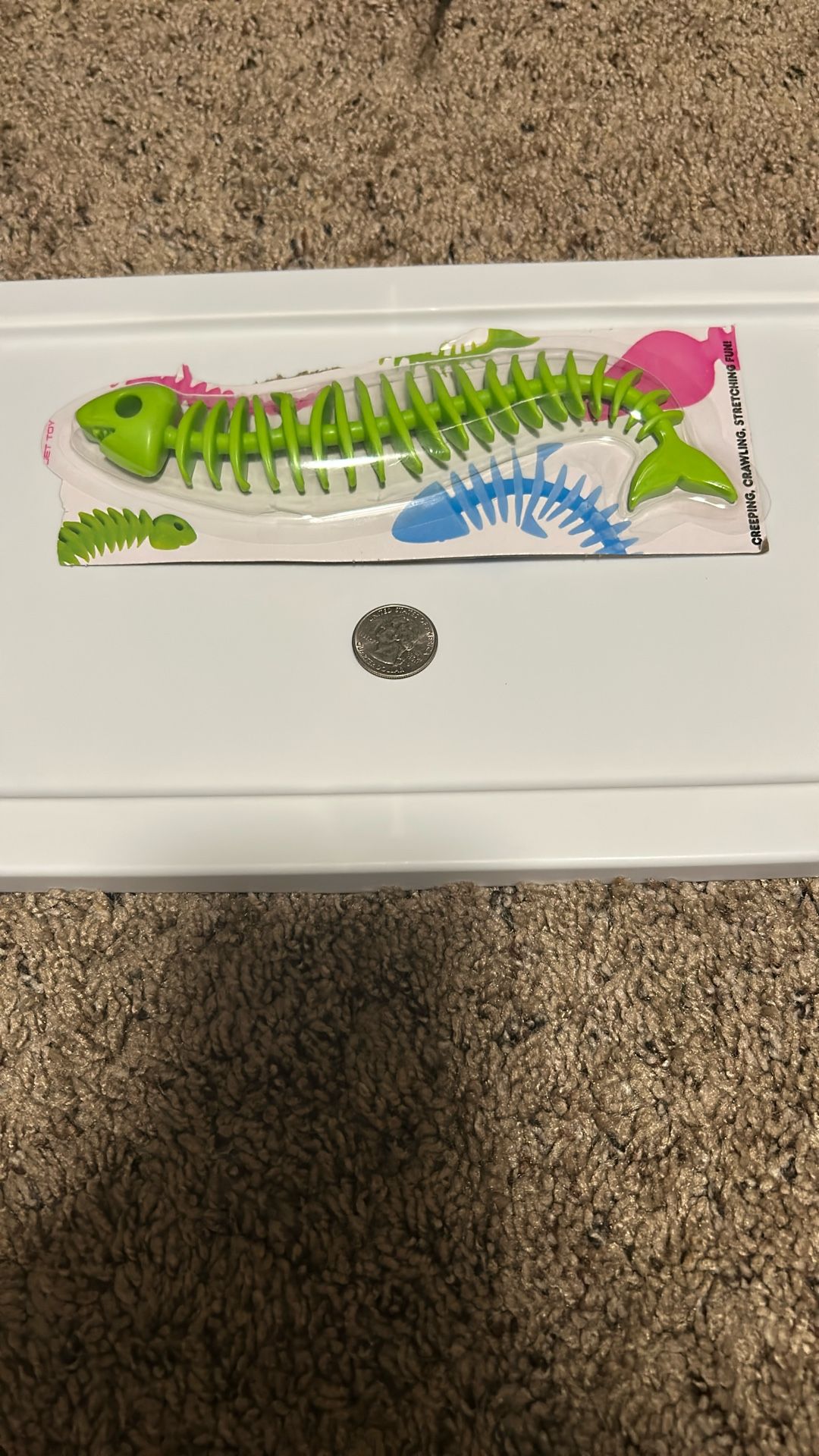 stretchy fish fidget