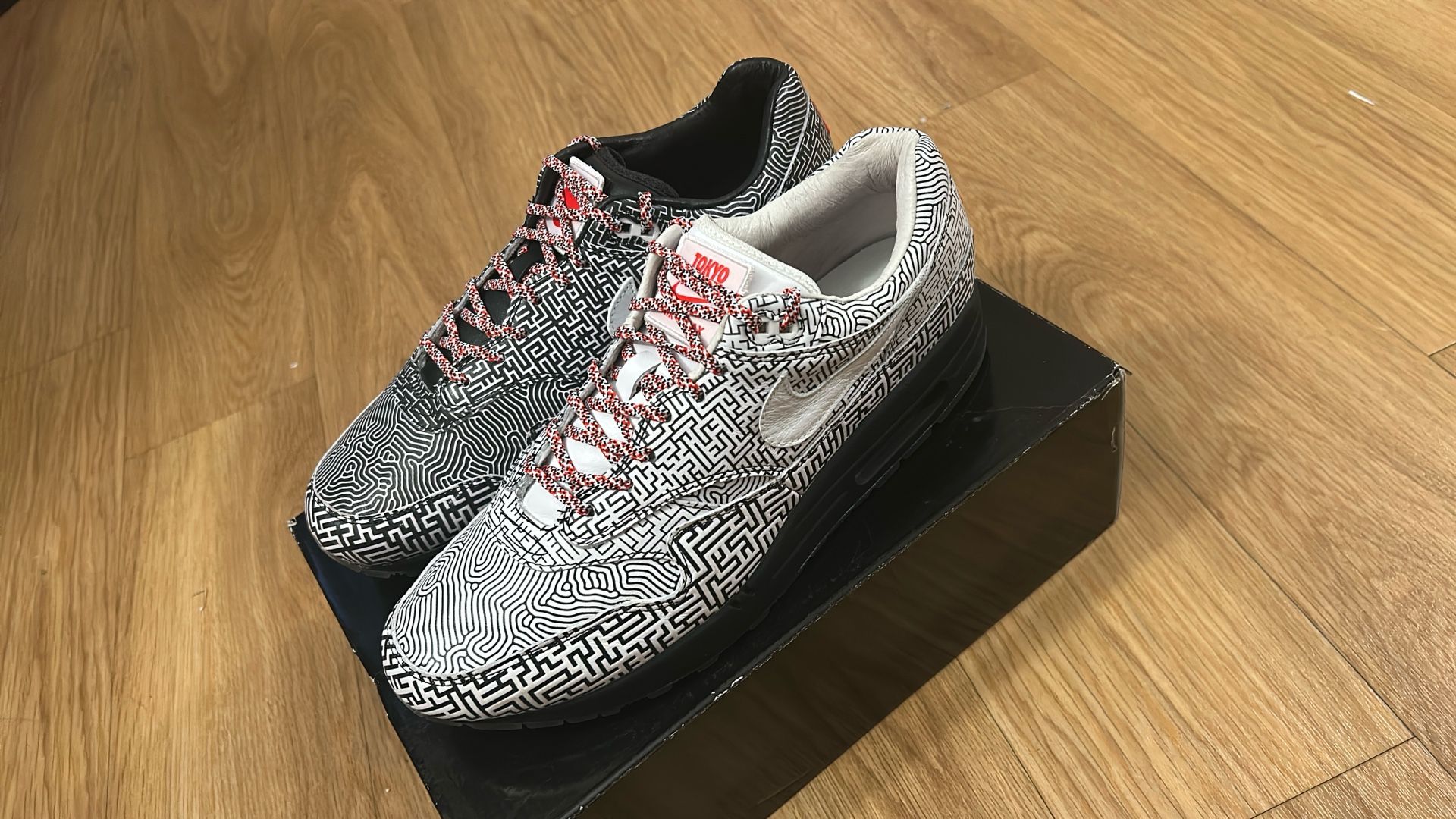 Nike Air Max 1 Tokyo Maze 