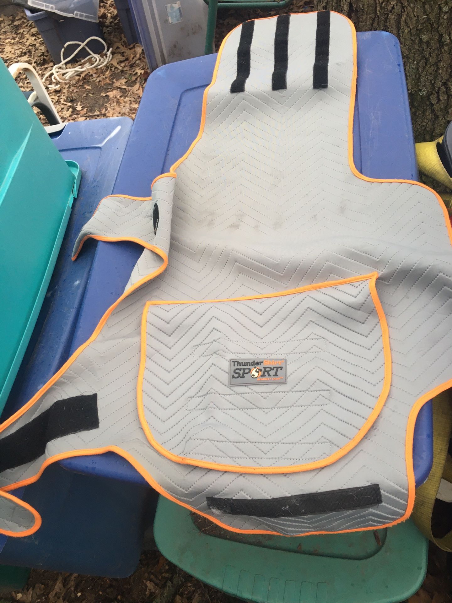 Lnew Large Dog Thunder Shirt Only $20