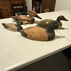 Wood Ducks