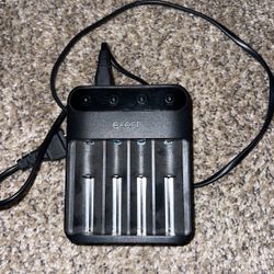 Efest Battery Charger For Mods