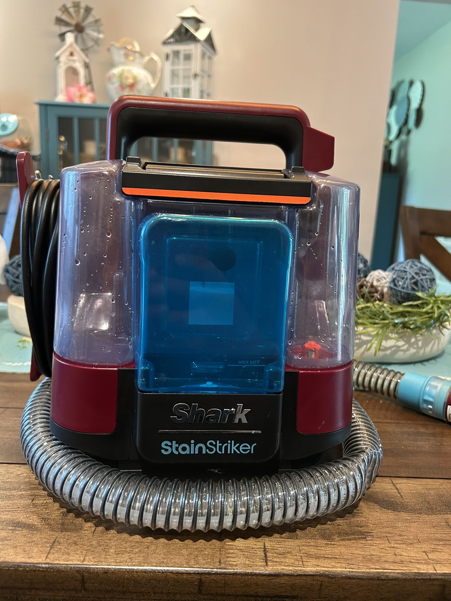 Shark Stain Striker Carpet Extractor