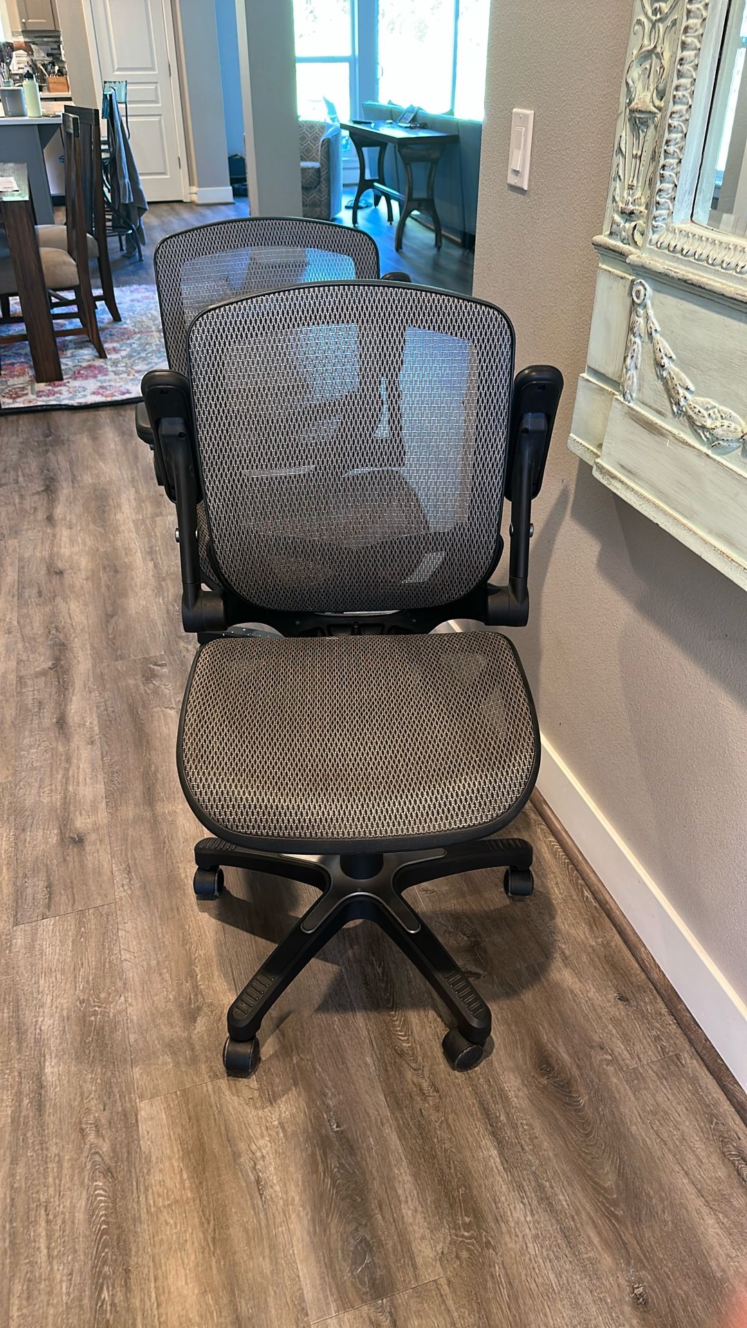 2 Costco Ergonomic Office Chairs