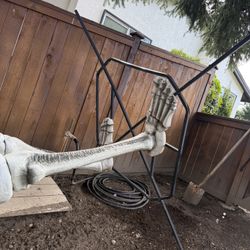 6 Foot Skeleton - $50 OBO