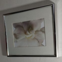 FRAMED - MATTED CONTEMPORARY ARTWORK - FLORISON -  PRINT 10"×8" - S90