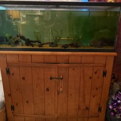 55 Gallon Tank With Stand