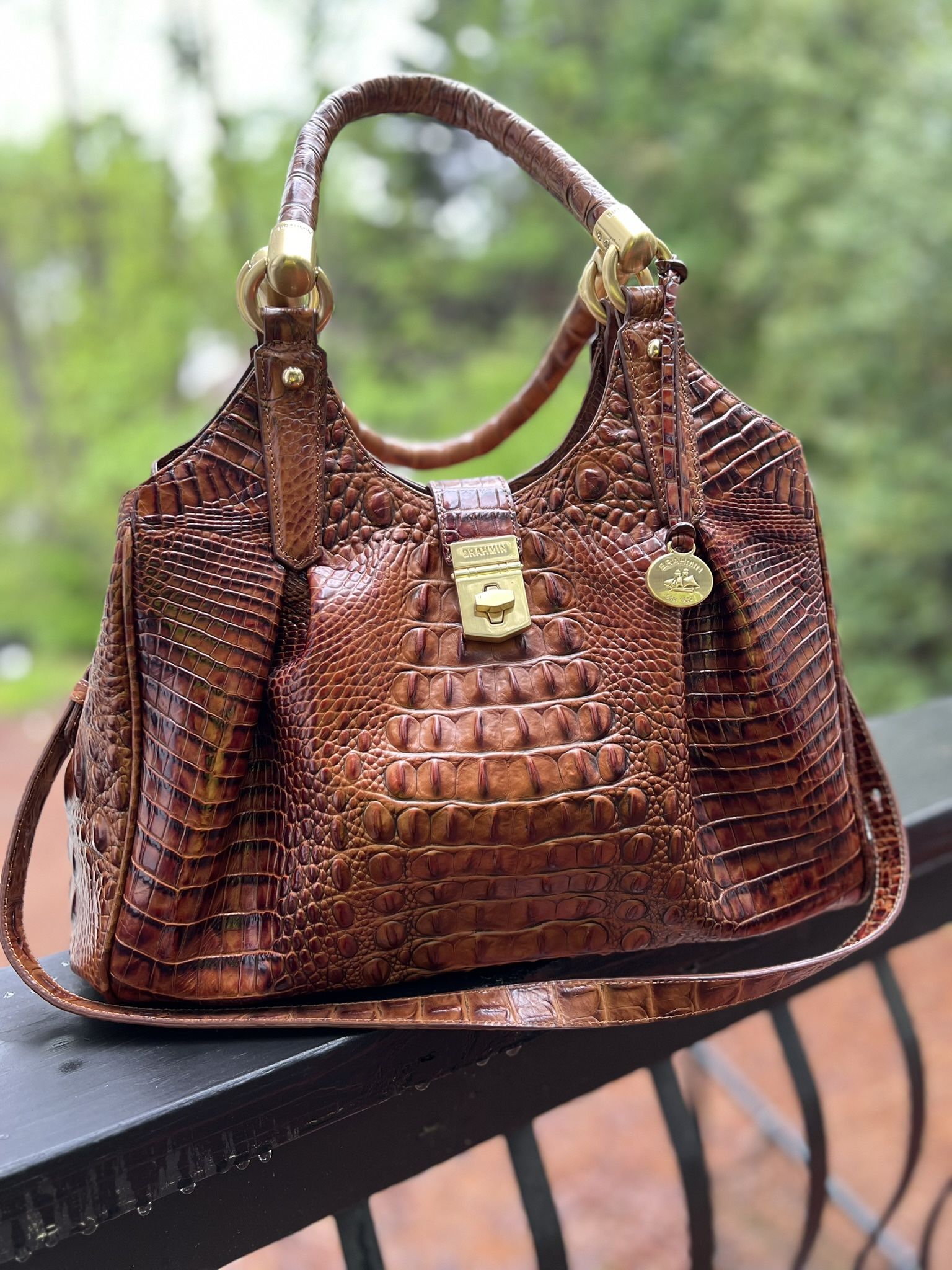 Brahmin Elisa Signature