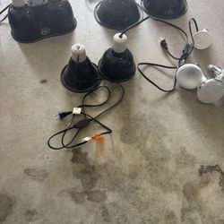 Reptile Lighting Equipment 