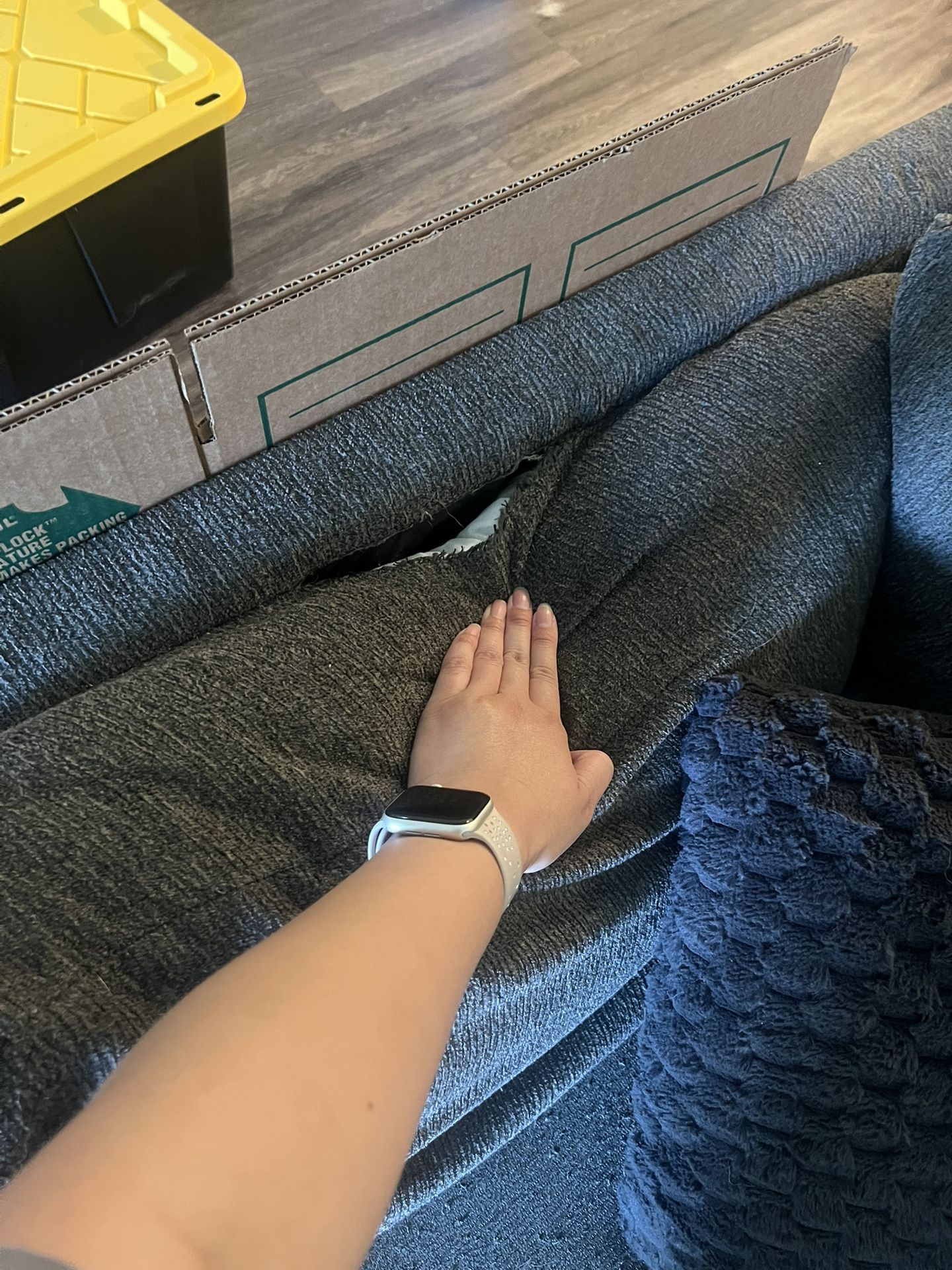 FREE BIG SECTIONAL!