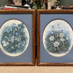 Two Ann Cochran Vintage Prints In Bamboo Frames