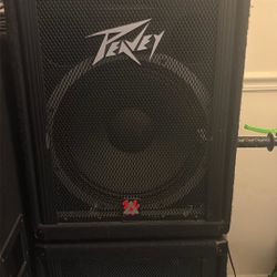 Peavey Speaker