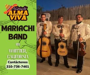 Trompeta violín de mariachi