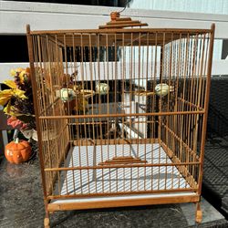 Bird Cage Bamboo 