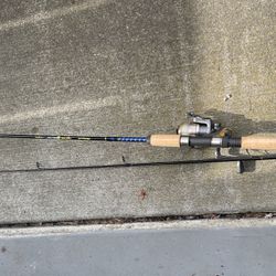 Fishing Rod And Real