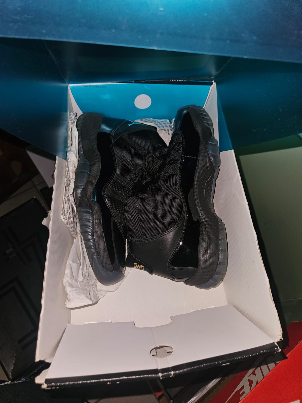 Jordan 11 Gammas