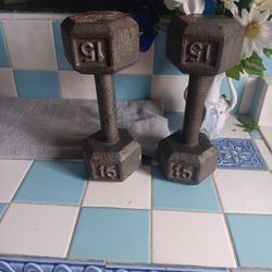 15 Lb Dumbbell Set