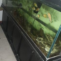 Mueble De Vidrio Con Almacenamiento 