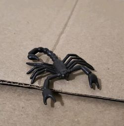 Safari Ltd Scorpion Figure Realistic Insect Arachnid Toy Video 261529