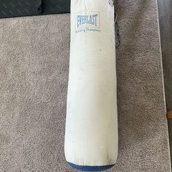 Everlast Punching Bag