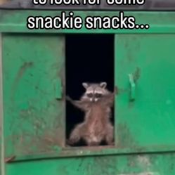 Need Gently Used Books