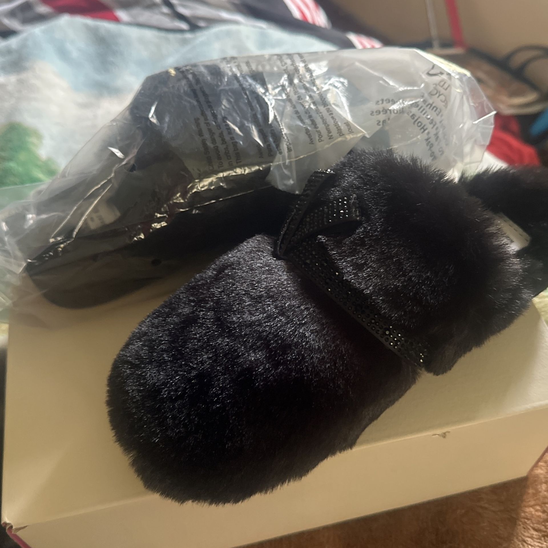 shoe