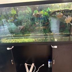 120 Gallon Fish Tank and Stand Excellent Condition 