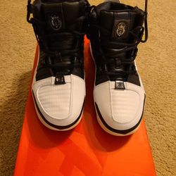 Lebron 3s 
