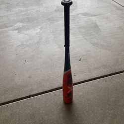 Baseball Bat