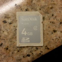 4 gb sandisk sd card for digital cameras
