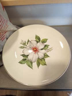 White flower dinner plates