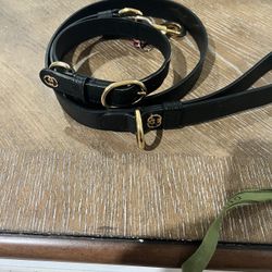 Gucci Dog Leash And Collar
