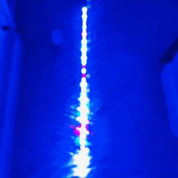 Marine Full Spectrum Light 