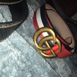 Gucci Belt 