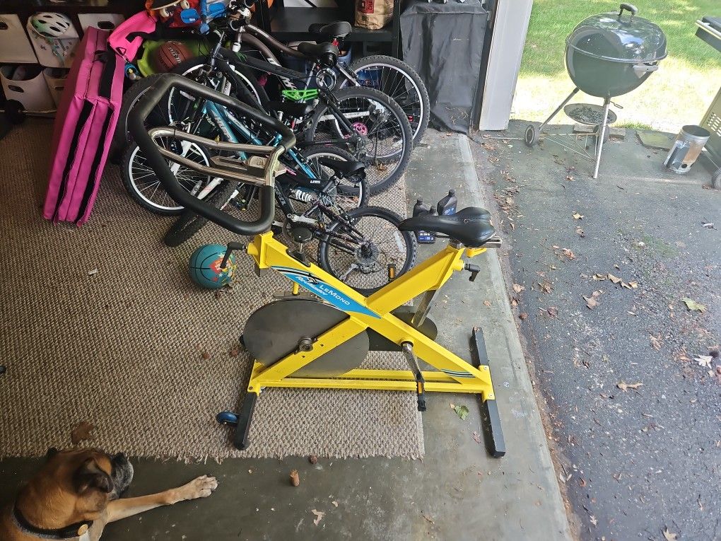 LeMond RevMaster Exercise Bike